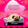 Imagem de Kit 2 Mascara Hidratação Cachorro Matizadora Pet Family 900g
