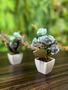 Imagem de Kit 2 mini arranjos de flores artificiais rosa Azul Turquesa decoração lembrancinhas jardim