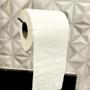 Imagem de Kit 2 Pacotes de Papel Higiênico Folha Dupla Fofinho Absolute com 4 rolos de 30 metros