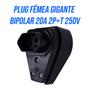 Imagem de Kit 2 Plug Femea gigante bipolar 2P +T 20A 250V Ilumi