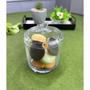Imagem de Kit 2 Potes De Cristal Ecologico Com Tampa Bird Porta Mantimentos 10x14cm Wolff