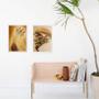 Imagem de Kit 2 Quadros Candomblé Obaluaê 45X34Cm - Com Vidro