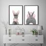 Imagem de Kit 2 Quadros Coelhos Bubble Gum 45x34cm - com vidro