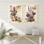 Imagem de Kit 2 Quadros Flores De Lavanda - Borboletas 45x34cm - com vidro