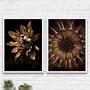 Imagem de Kit 2 Quadros Fotografias Flores Bronze 45x34cm - com vidro