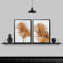 Imagem de Kit 2 Quadros Neutros Folhas Leque 33x24cm - com vidro