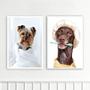 Imagem de Kit 2 Quadros Pet Shop - Banho 24x18cm - com vidro
