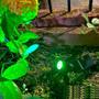 Imagem de Kit 2 Refletores Ecoforce Solar Led Verde 10x Spot Jardim 18581 á Prova D'água