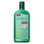 Imagem de Kit 2 Shampoo Antiqueda Jaborandi Farmaervas 320ml Sem Sal Cabelos Fracos Quebradiços