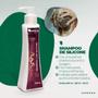 Imagem de Kit 2 Shampoo Com Silicone 250ml - Midori Profissional
