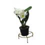 Imagem de Kit 2 Suportes Redondo Chão 23cm p/ Vaso Flor Aço Ouro Velho hy3610