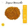 Imagem de Kit 2 Tempero Mineiro Importado Ingredientes Selecionados Pote com Dosador 60g 