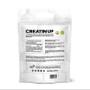 Imagem de Kit 2 un Creatina Pura Monohidratada Creatin UP 300g Refil Nutrata 