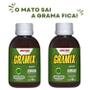 Imagem de Kit 2 Und Gramix 100ml Grama Esmeralda São Carlos Bermuda e Coreana