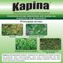 Imagem de Kit 2 Und Kapina 60ml Mata Tiririca Controle Pragas Grama Elimina 100% - RAWELL QUIMICA