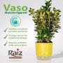 Imagem de Kit 2 Vaso Raiz Autoirrigavel 16x14cm Preto Plantas Temperos