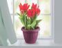 Imagem de kit 2 Vasos de Plantas com Prato acoplado 1,4 L Flores Usual Utilidades