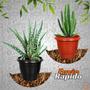 Imagem de Kit 2 Vasos Grande Redondo Cores 21,5l Para Áreas Plantas Jardins