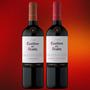 Imagem de Kit 2 Vinhos Casillero Del Diablo Carmenere e Cabernet Sauvignon 750ml