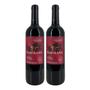 Imagem de Kit 2 Vinhos Ramirana Varietal Cabernet Sauvignon Tinto Chile 750ml