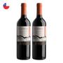 Imagem de Kit 2 Vinhos Ventisquero Clásico Carménère Tinto Chile 750ml