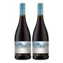 Imagem de Kit 2 Vinhos Ventisquero Queulat Gran Reserva Cinsault Tinto Chile 750ml