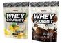 Imagem de Kit 2 Whey Protein Gourmet Refil - 907g FN Forbis - ORIGINAL