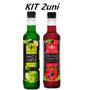 Imagem de Kit 2 Xaropes Dilute para Drink Soda Italiana Gin - Escolha
