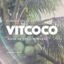 Imagem de Kit 24 agua de coco vitcoco 200ml integral 100% agua de coco