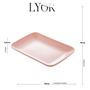Imagem de Kit 24 Travessas Bandejas para Servir 24x15x2,5cm Sortidas Sushi Petisco Sobremesa Lyor