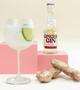 Imagem de Kit 24X Drink Pronto Easy Booze Vodka+Pink Lemon 200Ml