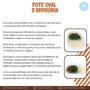 Imagem de Kit 25 Marmitas Descartaveis Para Congelador e Microcondas 