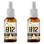 Imagem de Kit 2X Vitamina B12 Sublingual Metilcobalamina 9,94 Mcg Por