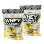 Imagem de Kit 2X Whey Protein Gourmet 907g Refil - FN Forbis