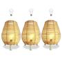 Imagem de Kit 3 Abajur Rattan Lanterna Fibra Natural Boho Nat68 + Led