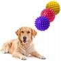 Imagem de Kit 3 Brinquedo Para Cãozinho Filhotes Golden Retriever Bola