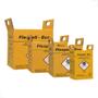 Imagem de Kit 3 caixas perfurocortante 03l ec