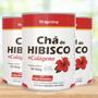 Imagem de Kit 3 Chá de Hibisco com Colágeno Sabor Frutas Vermelhas Pó 150g Fitoprime