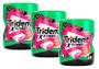 Imagem de kit 3 CHICLETE TRIDENT X SENSES MELANCIA MENTA GARRAFA 54G