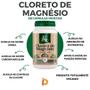 Imagem de Kit 3 Cloreto De Magnésio (Produto Vegano) 60 Cápsulas 550Mg