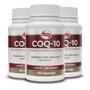 Imagem de Kit 3 Coenzima Q10 200mg Vitafor 60 Cápsulas