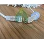 Imagem de Kit 3 Cordão 100 Led Fixo Branco Frio Fio Transparente 127v