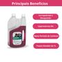 Imagem de Kit 3 Ectonil Pour On 1000 M