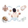 Imagem de Kit 3 Eletrodos Para Aparelhos Fisioterapia 8 Peças