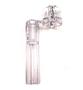 Imagem de Kit 3 Encordoador Strinberg SW20 Transparent Cores Sortidas