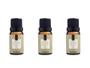 Imagem de Kit 3 Essências Alecrim Silvestre - 10Ml Via Aroma