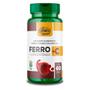 Imagem de Kit 3 Ferro com Vitamina C Unilife 60 cápsulas