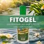 Imagem de Kit 3 Fitogel Gel de Arnica Bélia 200g + Gel de arnica Natulife