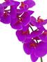 Imagem de Kit 3 Galhos de orquídeas artificiais Pink em silicone
