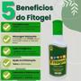 Imagem de kIT 3 Gel de arnica para dor no corpo + Creme para rachaduras